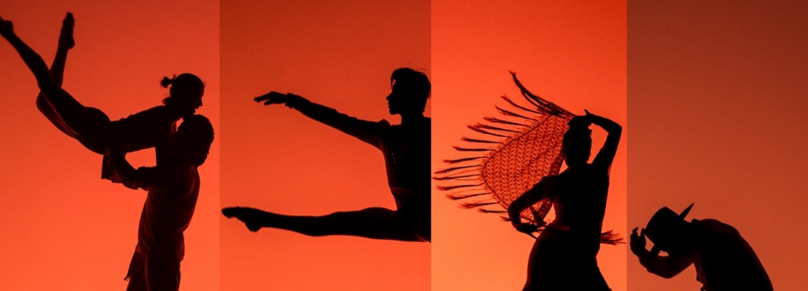 Haga parte del programa Plataforma Danza Bogotá | Instituto Distrital